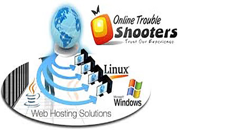 Web Hosting Services In India