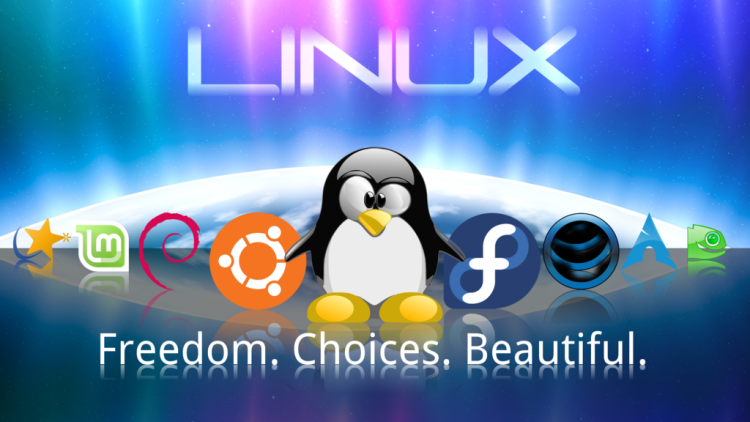 5 Reasons why Bloggers loves Linux Web Hosting